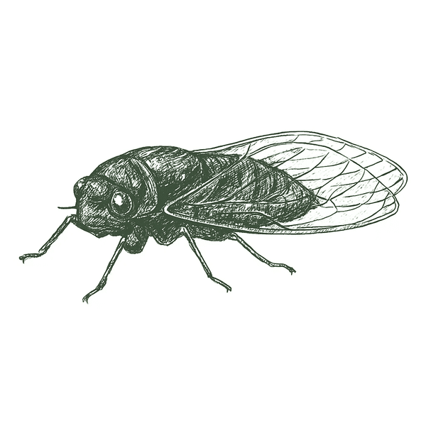 Pest Image