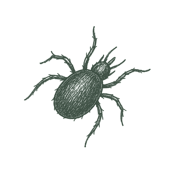 Pest Image