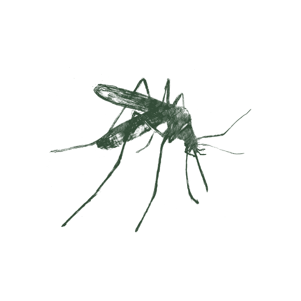 Pest Image