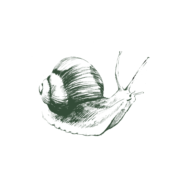 Pest Image