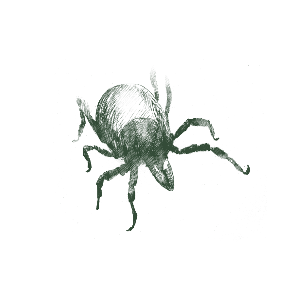 Pest Image